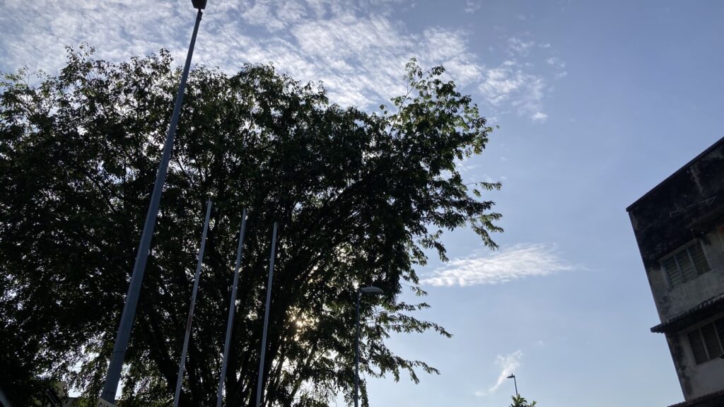 マレーシアに来てすぐの頃、一番