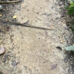 マレーシアの画像 生活 暑すぎない