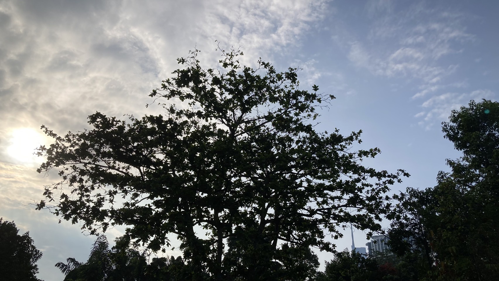 マレーシアの画像 旅行 ハイキング