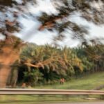 マレーシアの画像 旅行 クアラルンプール国際空港