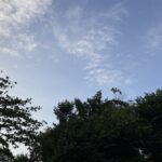 「マレーシアって暑そうだよね〜」って、日本の友達に言われることがよくあるんですが、実は私、マレーシアの“常夏気候”が大好きなんです♪ たしかにマレーシアは一年中