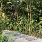 マレーシアの画像 生活 スコール