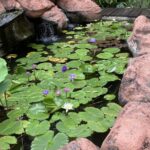 マレーシアの画像 旅行 文化