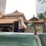マレーシアの画像 旅行 125