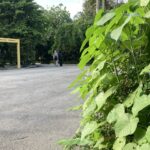 マレーシアの画像 生活 夏